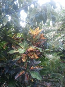 2011-09-03 17.48.17.jpg