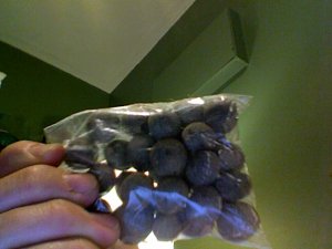 Photo 21.jpg