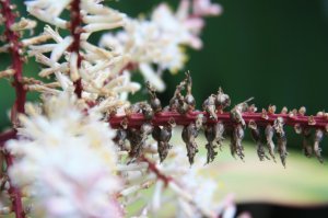 IMG_5703.jpg
