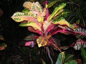 DSCN3567.jpg