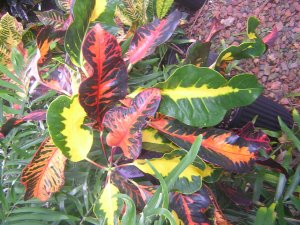 DSCN3570.jpg