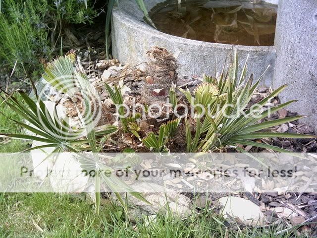 PICT0158.jpg
